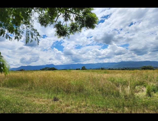 742,854M² FARM FOR SALE IN LEVUBU